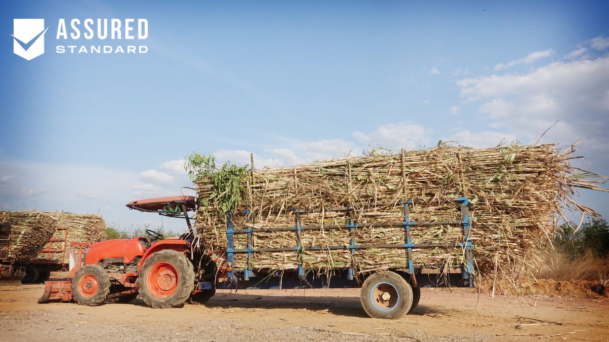 How Agricultural Trucking Powers the Farming Industry